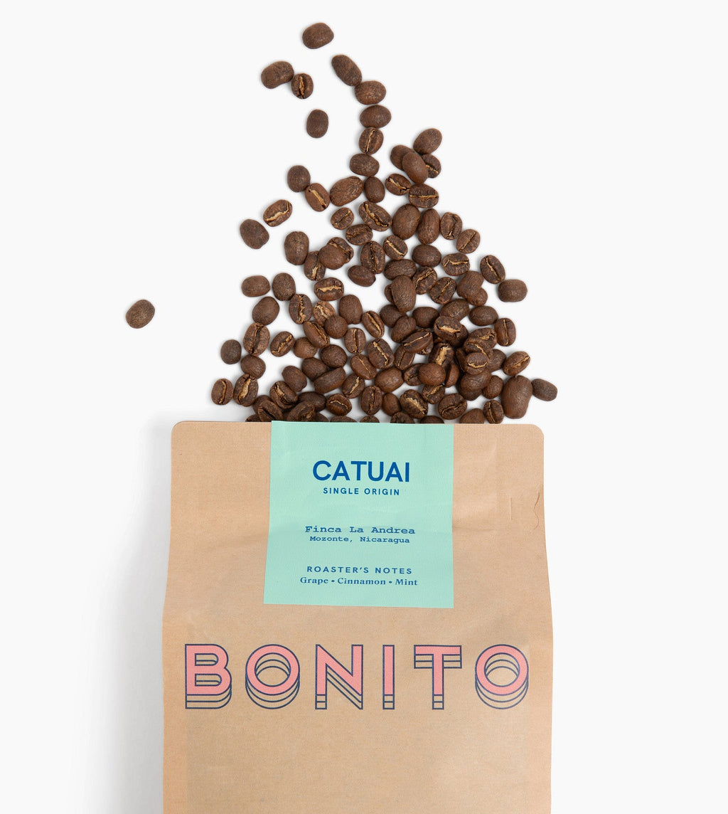Catuai
