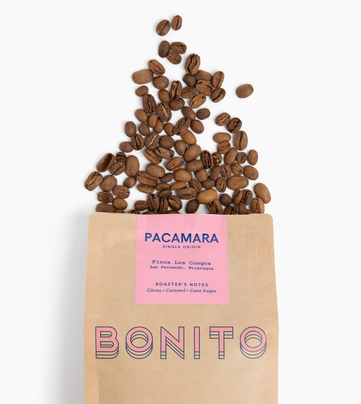 Pacamara