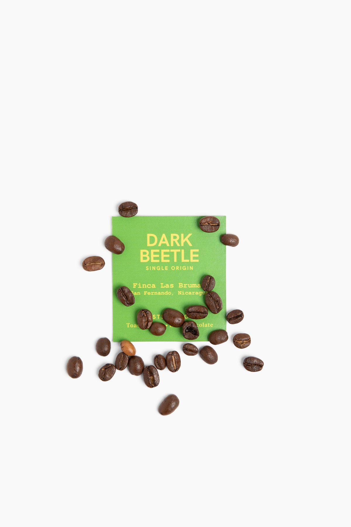 Dark Beetle