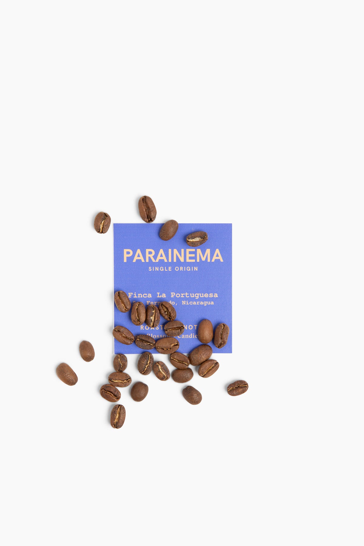 Parainema