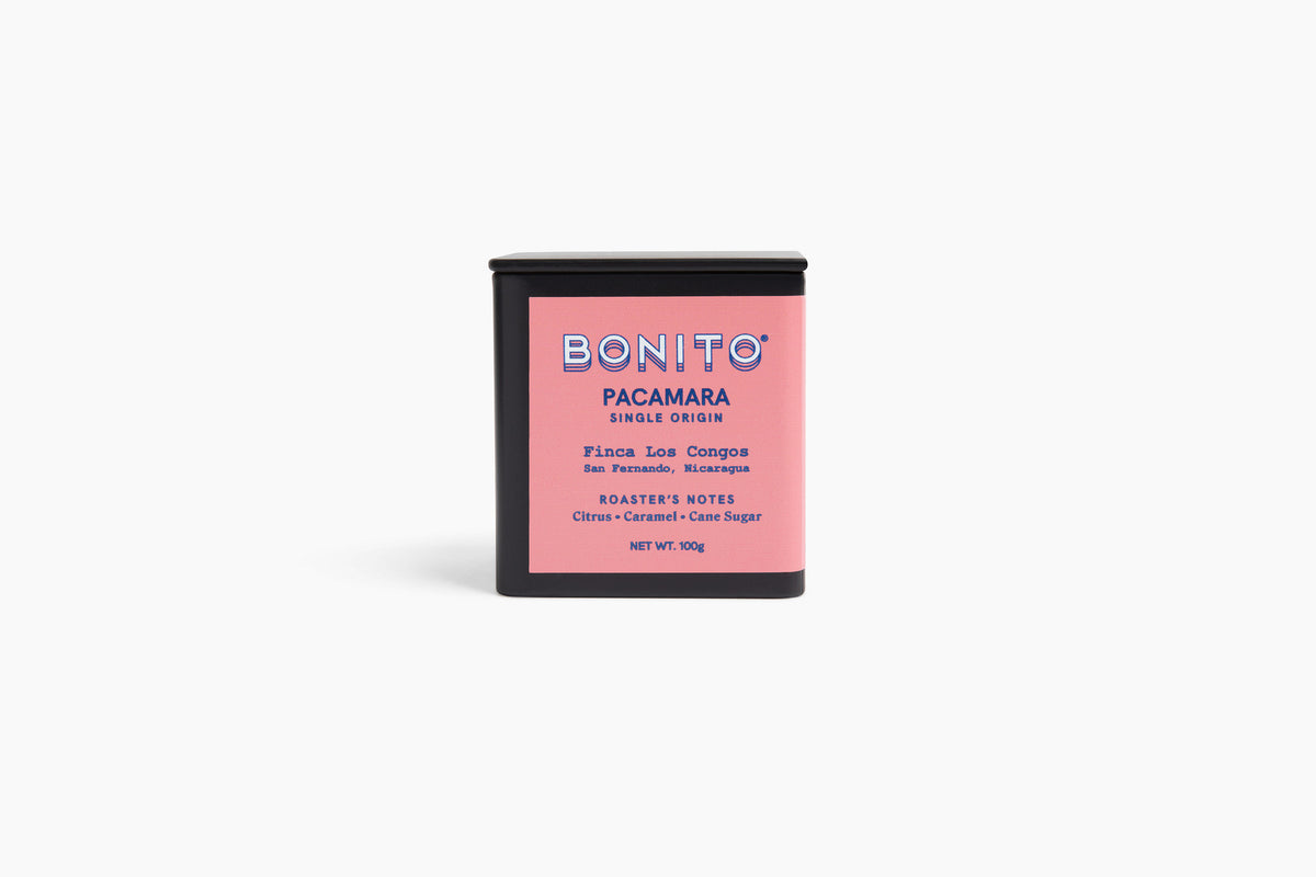 Pacamara